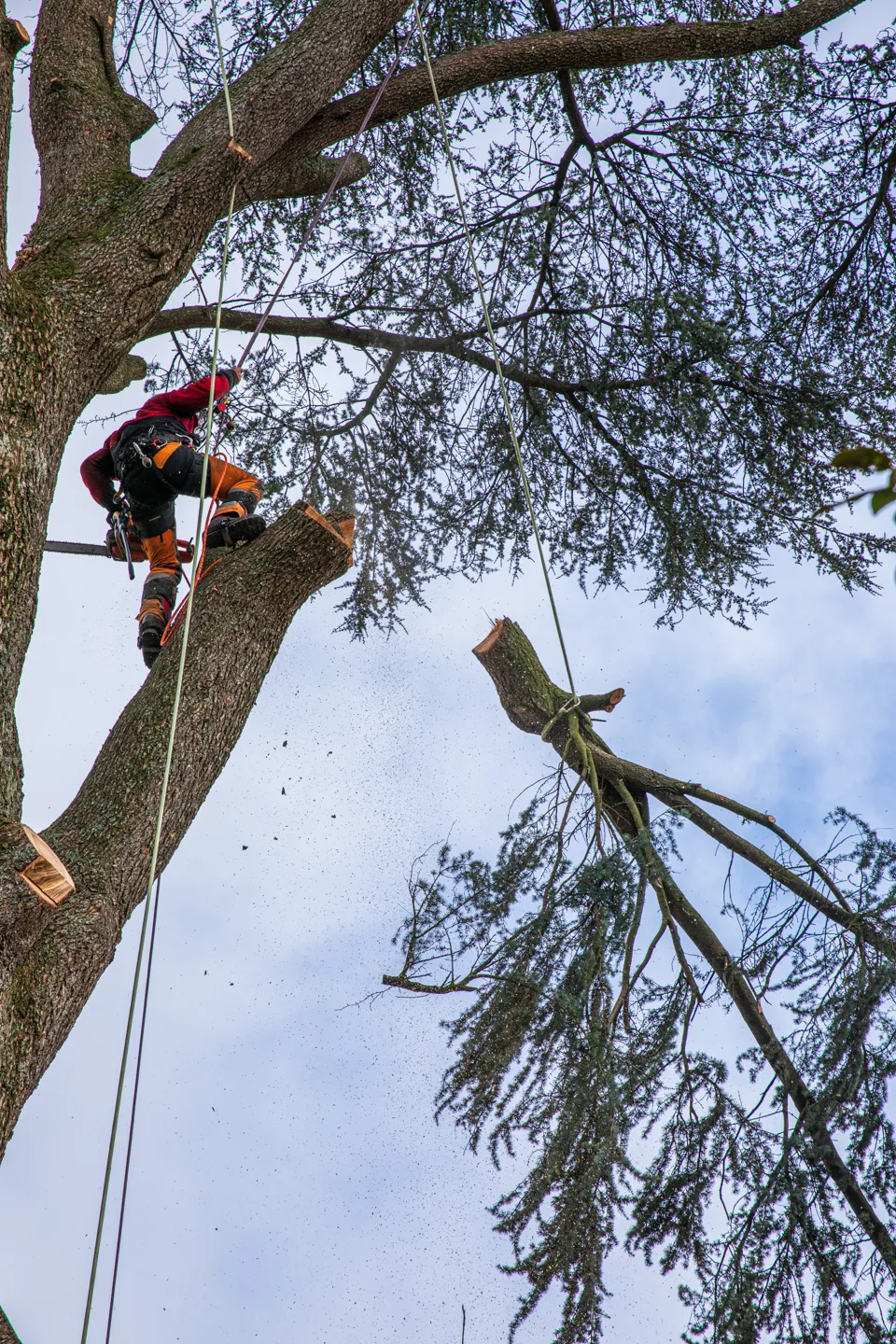 Démontage sécurisé en hauteur